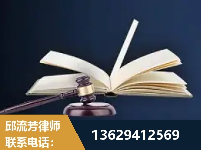 高州-遗产继承