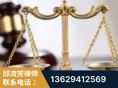 高州-委托诉讼代理人出庭